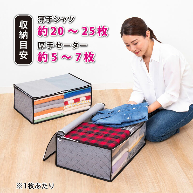 【店内最大20%OFFクーポン】活性炭消臭 衣類収納ケース グレー 2個組 消臭しながら保管 洋服 脱臭 収納袋 収納ボックス 埃除け 衣装ケース 開閉しやすいファスナー引手 アストロ 171-90