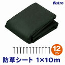 高耐久 厚手 防草シート 1×10m 固定ピン12本付き グリーン UV耐候剤配合 不織布 水はけが良い 農業 ガーデニング 園芸 畑 花壇 花 野菜 工事 人...