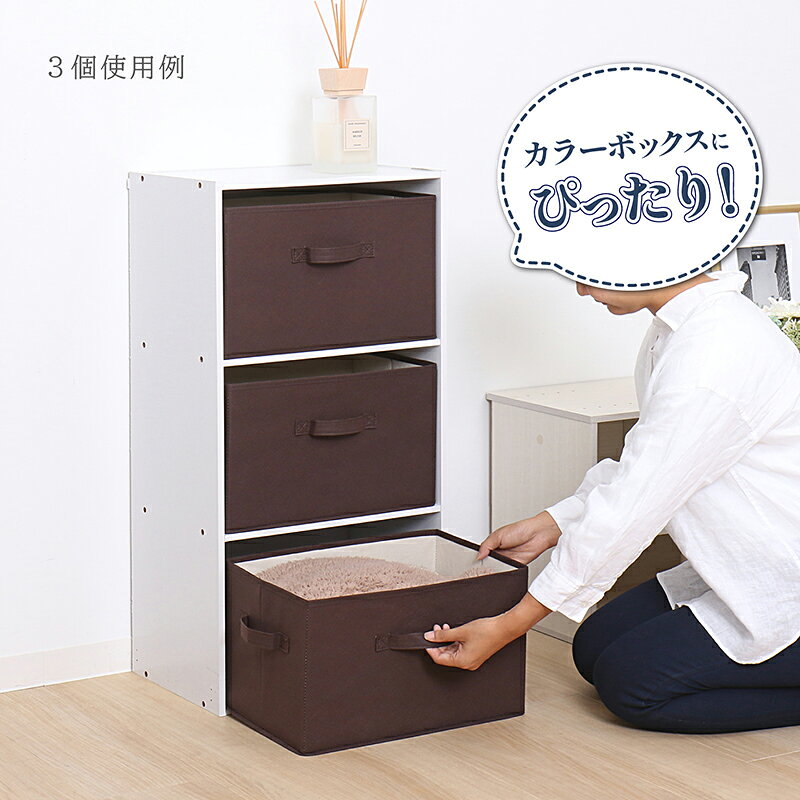 【店内最大20%OFFクーポン】カラーボックス インナーボックス 収納ボックス ブラウ...