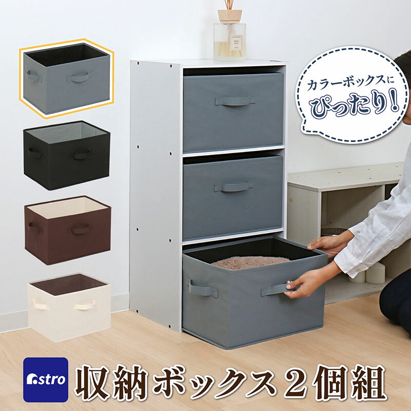 Rakuten - 【店内最大20%OFFクーポン】収納ボックス 2個セット 不織布製 カラーボックスにぴったり グレー×ブラック 容量20L アストロ 606-72