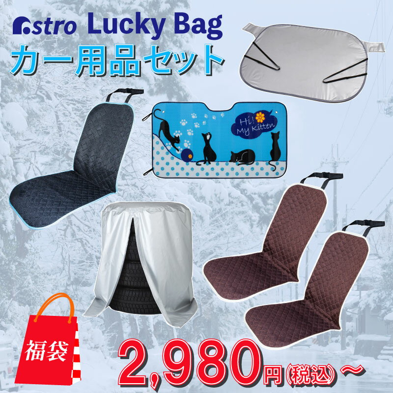 【店内最大5%OFFクーポン配布中5/16迄】【福袋】カー用品 セット カーシート 防雪カバー タイヤ保管 カ..