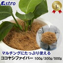 ココヤシファイバー 約100g/300g/500g ココファイバー マルチング 天然 ココヤシ ヤシ 繊維 ガーデニング 園芸 家庭菜園 プランター 鉢植え 土...