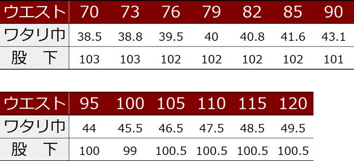 INFINITY MAX 1309-418 超超ロング八分 120cm (鳶衣料 年間) 3