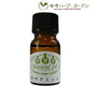ネコポス対象 香寺ハーブ・ガーデン エッセンシャルオイル スペアミント 10ml アロマ(4)