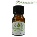 ネコポス対象 香寺ハーブ・ガーデン エッセンシャルオイル ユーカリ 10ml アロマ