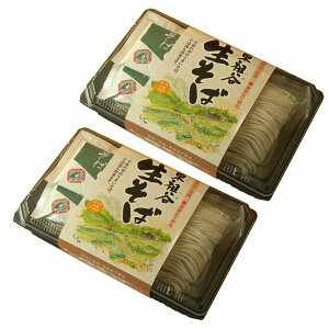 そば 東祖谷 生そば 2〜3人前 つゆ付 2個セット 送料無料 祖谷そば 蕎麦 ご当地そば ご当地めん 徳島特産 徳島土産 お土産