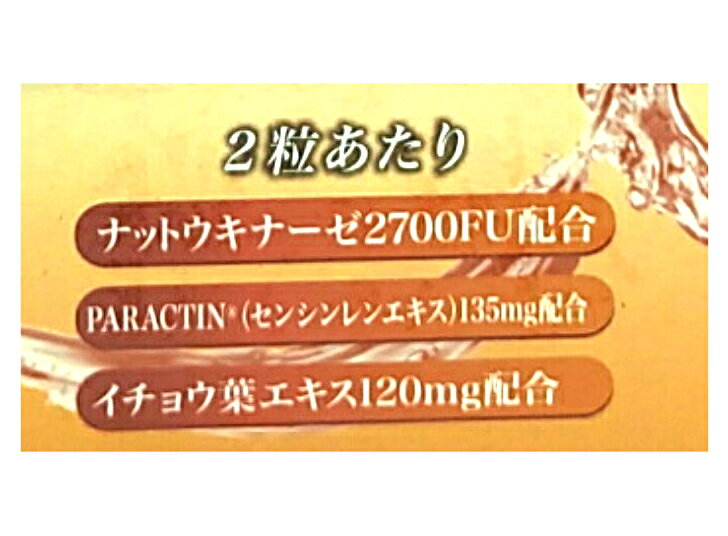 NEWナットウキナーゼGP90包、3か月分　1包当たりナットウキナーゼ2700FU・イチョウ...