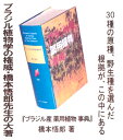 20110915cuore:10000000のサンプル画像3