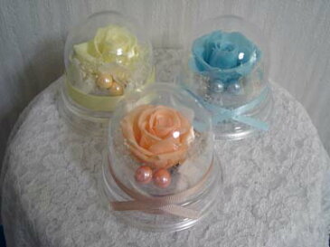 小さくてかわいくて安いドームアレンジ! 選べるローズのカラーは9色です!