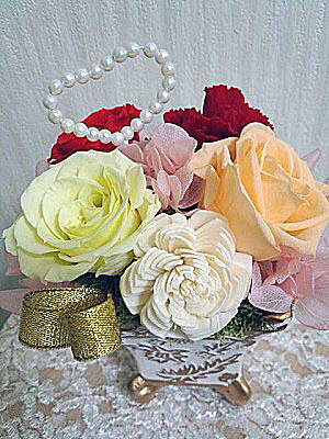 ץꥶ֥ɥե3000ھʡڻˤ⾮ʥեȡQueenGarden