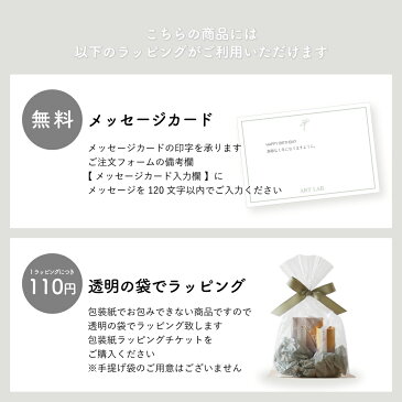 リードスティック 5本 天然素材 リードディフューザー MUSE des ROSES / PORTE BONHEUR フラワーディフューザー用スティック アートラボ ARTLAB
