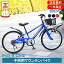 【500円OFFクーポン 先着1000名 27日～29日限定】 子供用マウンテンバイク 22インチ | 子供用自転車 シマノ製6段ギア付 変速付き かご付き 自転車本体 男の子 こども じてんしゃ 小学生 低学年…