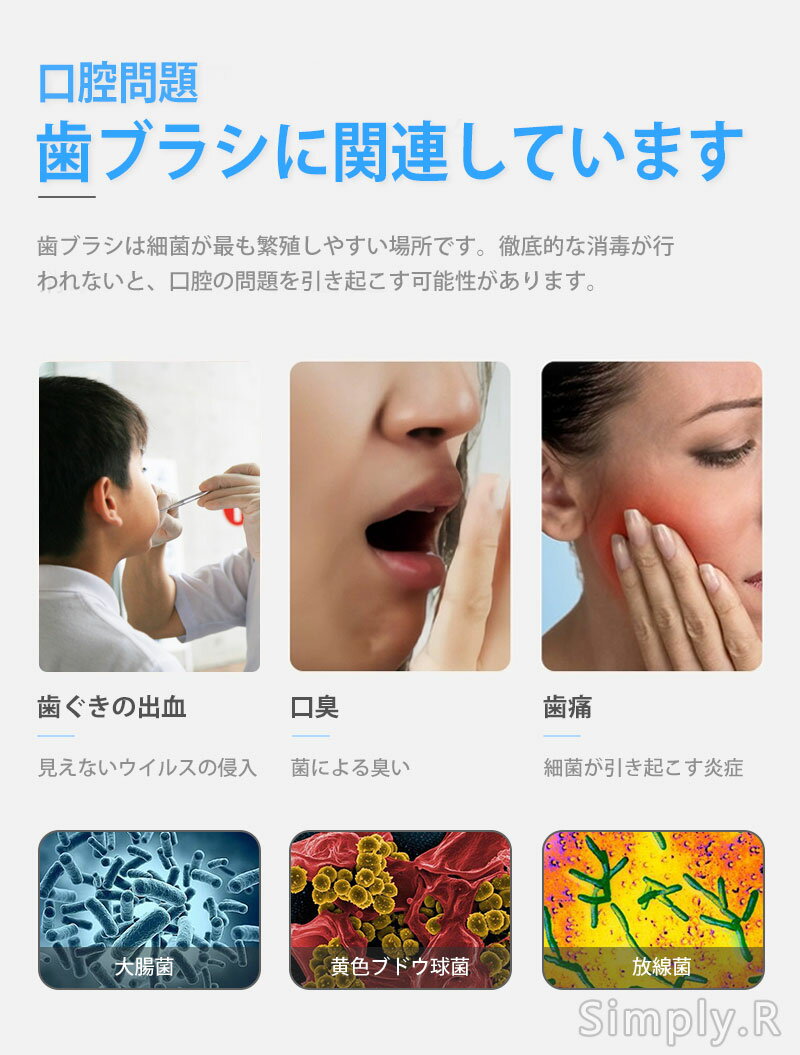 ��SALE����2000��OFF�ۥߥ� ���֥饷���ݴ� �������� UV���� �����ɻ� ���֥饷��Ǽ�ۥ����/������ �Ų� USB���ż� �ҤȤ���餷 ���֥饷 ������� ���֥饷�ݤ�