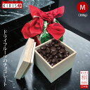 ドライフルーツ ギフト チョコ 国産 高級 クランベリーチョコレート《170g》お中元 お歳暮 お年賀 バレンタインデー ホワイトデー ピアパッコ 高級桐箱 オ...