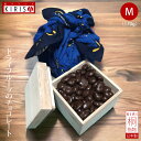 ドライフルーツ ギフト チョコ 国産 高級 クランベリーチョコレート《170g》お中元 お歳暮 お年賀 バレンタインデー ホワイトデー 高級桐箱 オシャレ 風呂敷梱包 引き出物 開店 周年記念品 退職 お返し プレゼント 贈答品 結婚 UDKCふろしき 生命樹 ウクライナ