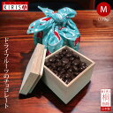 ドライフルーツ ギフト チョコ 国産 高級 クランベリーチョコレート《170g》お中元 お歳暮 お年賀 バレンタインデー ホワイトデー 高級桐箱 オシャレ 風呂敷梱包 引き出物 開店 周年記念品 退職 お返し プレゼント 贈答品 結婚 ツツムアート カザルアート 白のふちどりで
