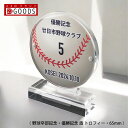 野球 トロフィー 野球部 優勝記念 卒団記念 卒部記念 記念品 表彰 スポーツ大会 カラー盾 オリジナルデザイン ギフト 名入れ プレゼント オリジナルグッズ ...