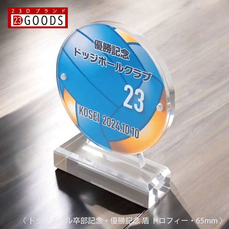 ドッジボール トロフィー ドッジボール部 優勝記念 卒団記念 卒部記念 記念品 表彰 スポーツ大会 カラー盾 オリジナルデザイン ギフト 名入れ プレゼント オ...