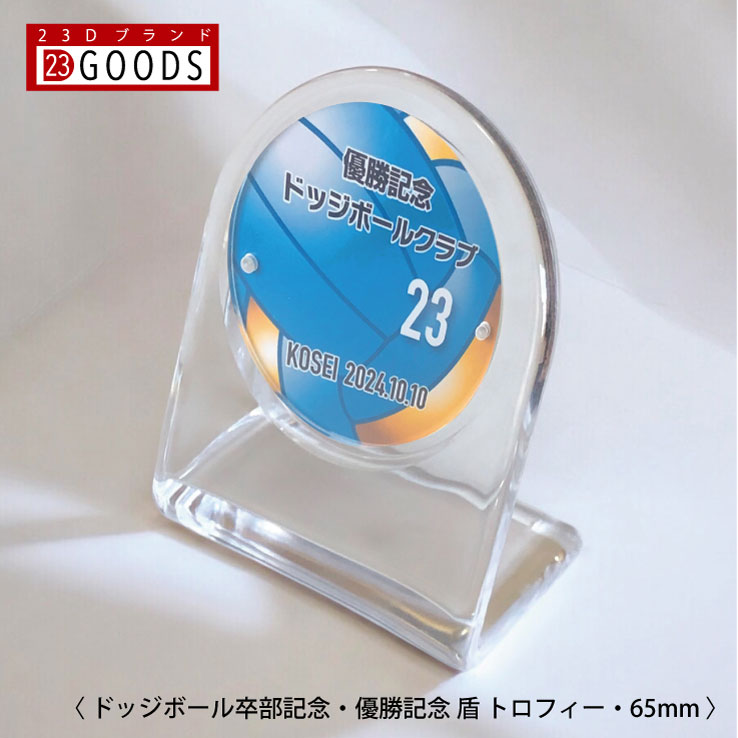 ドッジボール トロフィー ドッジボール部 優勝記念 卒団記念 卒部記念 記念品 表彰 スポーツ大会 カラー盾 オリジナルデザイン ギフト 名入れ プレゼント オ...