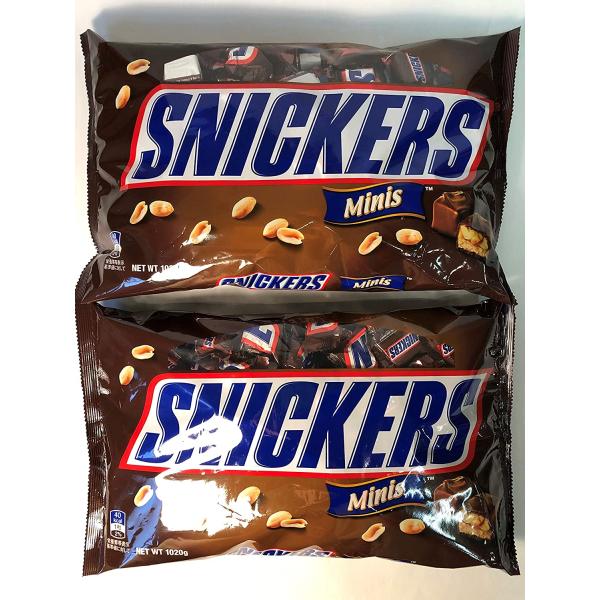 スニッカーズ　SNICKERS　ミニチュア　1020g2袋　送料無料！