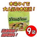 y9܃ZbgzgCX^g[@O[J[@YUMYUM GREEN CURRY 5 x9 I