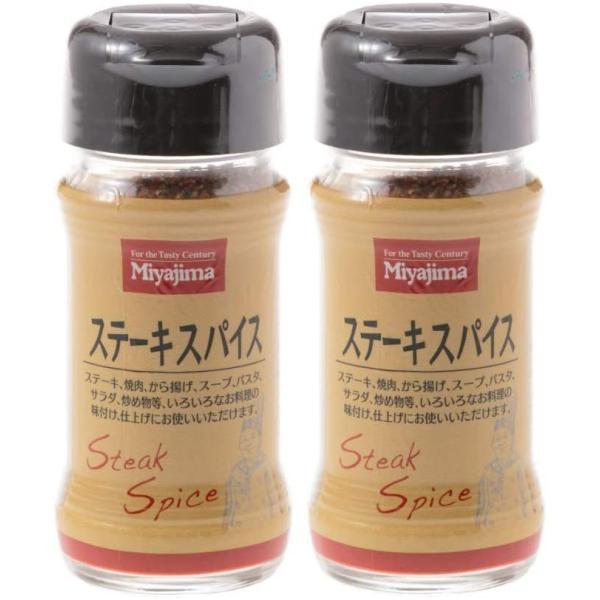 宮島醤油 ステーキスパイス 60g×2個 スパイス 万能
