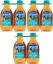 【 3セット】オーガニック ブルーアガベ シロップ 1.02kg 2本組 ×3セット カークランド シグネチャー