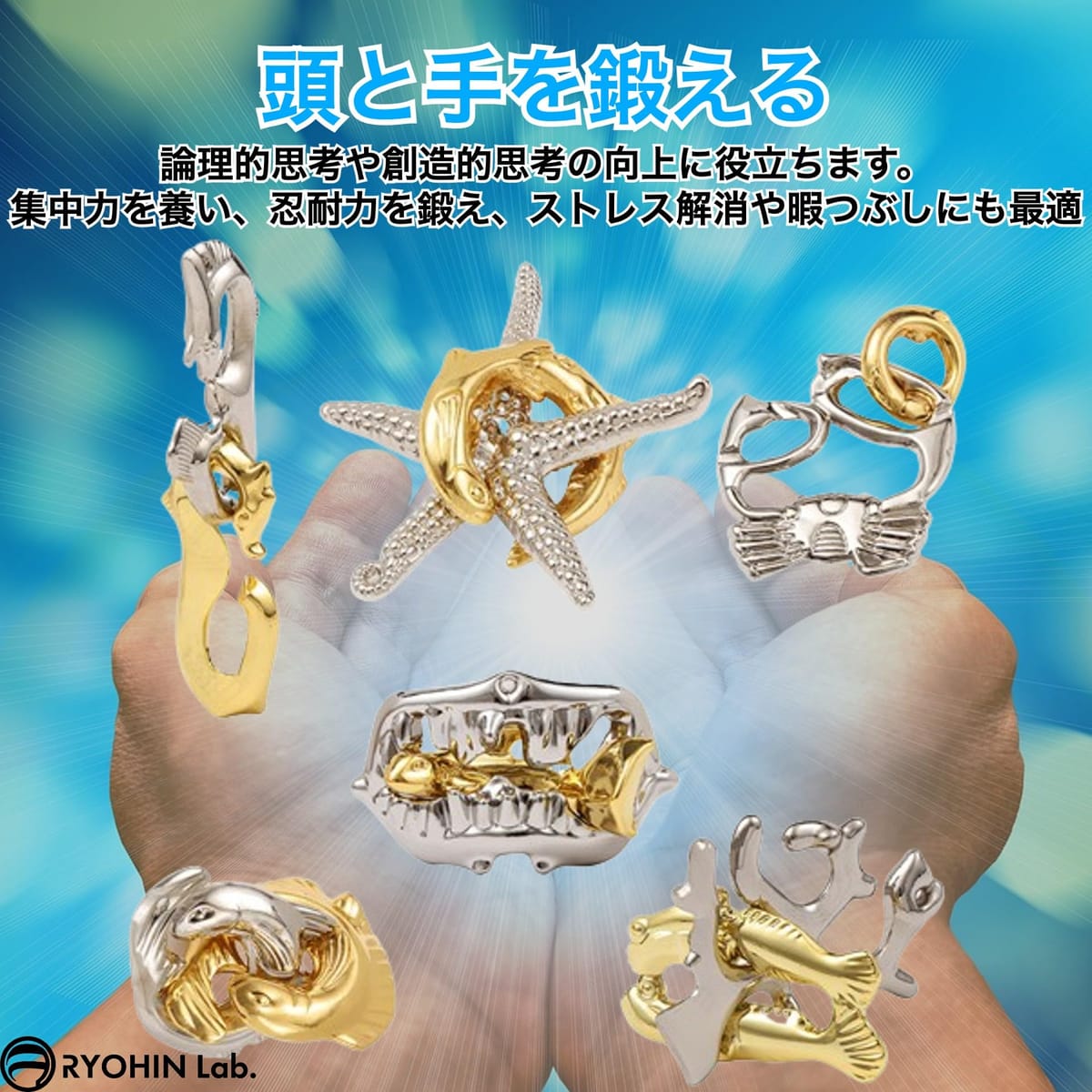 RYOHIN Lab.(良品ラボ) 知恵の輪 知恵おもちゃ 海洋シリーズ 難易度1〜6 パズル 変...