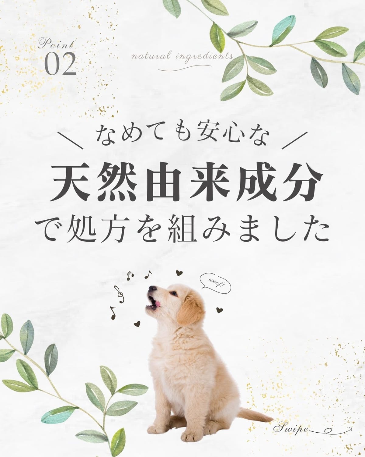 犬 虫除けスプレー 植物成分で虫を寄せ付けない 犬 アロマ 虫除け なめても安心な天然由来成分処方 直接噴霧OK THE ANIMAL ORGANICS 犬用虫除け 100ml 24universe-10032590 SIMPS by WANSTE サンプル画像3