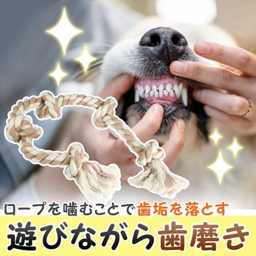 SAREDO ���ѥ����פ������, �淿/�緿������, ���פʳ��प�����, ���ȥ쥹���