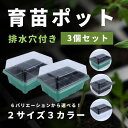 育苗ポット (3個セット/プラスチック製) 育苗箱 排水穴付き 育苗トレイ 苗箱 種まき 発芽 育成 野菜 植物 家庭菜園 水やり ハウス sm-1380