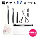 眉毛 手入れ セット 眉毛カッター 眉毛テンプレート ピンセット まゆ毛 ハサミ まゆげ ガイド 眉毛そり 大容量17点セット sm-1723