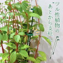 【植物のプロW監修】 支柱 園芸 20本組(17cm*10個/27cm*10個)観葉植物や花の支え フラワースタンド 観葉支柱 花ささえ スライド支柱 つる性植...