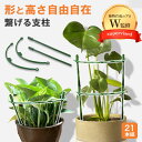 【植物のプロW監修】 支柱 園芸 21本組 連結タイプ 観葉植物や花の支え 約Φ5.5mm 4パターンの用途で使用 フラワースタンド 観葉支柱 花ささえ スライ...