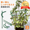 【植物のプロW監修】 支柱 園芸 アーチ (16本組)高強度タイプx観葉植物や花の支え 植物支柱 花支え 支柱棚 フラワースタンド 観葉支柱 花ささえ スライド...