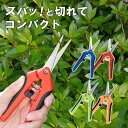剪定バサミ コンパクトサイズ 植物育成のプロW監修握りやすく軽量なタイプ 細かい作業に サクサク切れます 剪定ばさみ ハサミ 枝切りバサミ 剪定はさみ シルバー...