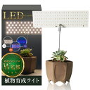 【植物育成のプロ2人が監修】 植物育成ライト LED (初心者専用)【植物育成のプロ2人が監修】置くだけで使用可能x3色の光を切替可能 日照不足解消 多肉植物育...