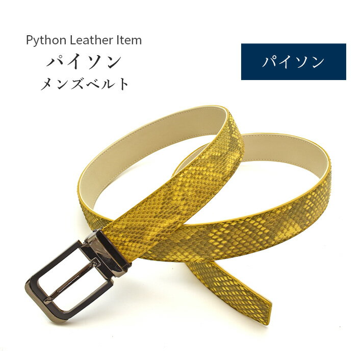 アニオナ　パイソンベルト 912Z0rePULL._AC_UY1000_.jpg