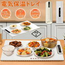 卓上 10秒に急速加熱 電気式 収納袋付き 100℃ 80℃ 60℃ 3段階の温度設定 折りたたみ式 食品保温プレート