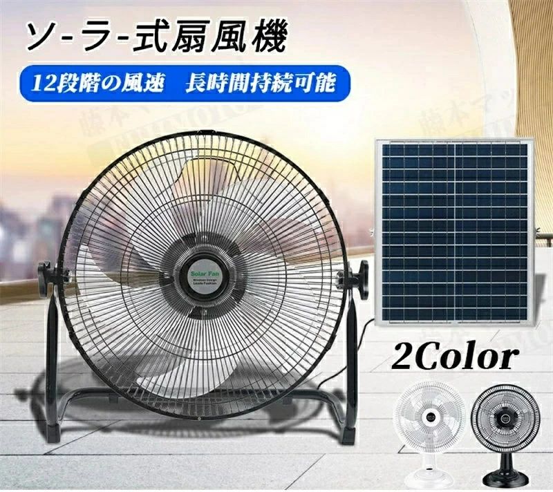 顼ե 顼ѥե 顼  Хåƥ꡼¢ ۸  