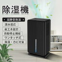 湿気取り 強力除湿 タイマー付き マイナスイオン機能 静音 強力 3000ml大容量 衣類乾燥除湿機 小型 コンパクト