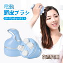 美 美容 健康グッズ 御祝 女性 男性 ギフト チョコ以外 バレンタイン プレゼント ブラシ 頭皮ケア