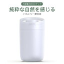 30時間連続使 ハイブリット加湿器 卓上 超音波 加湿器 ダブルノズル 大容量 3000ml 加湿器