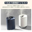 コンパクト 小型 オフィス ポータブル ベッドサイド コードレス 卓上加湿器 オフィス 上部給水 上から給水 充電式 卓上