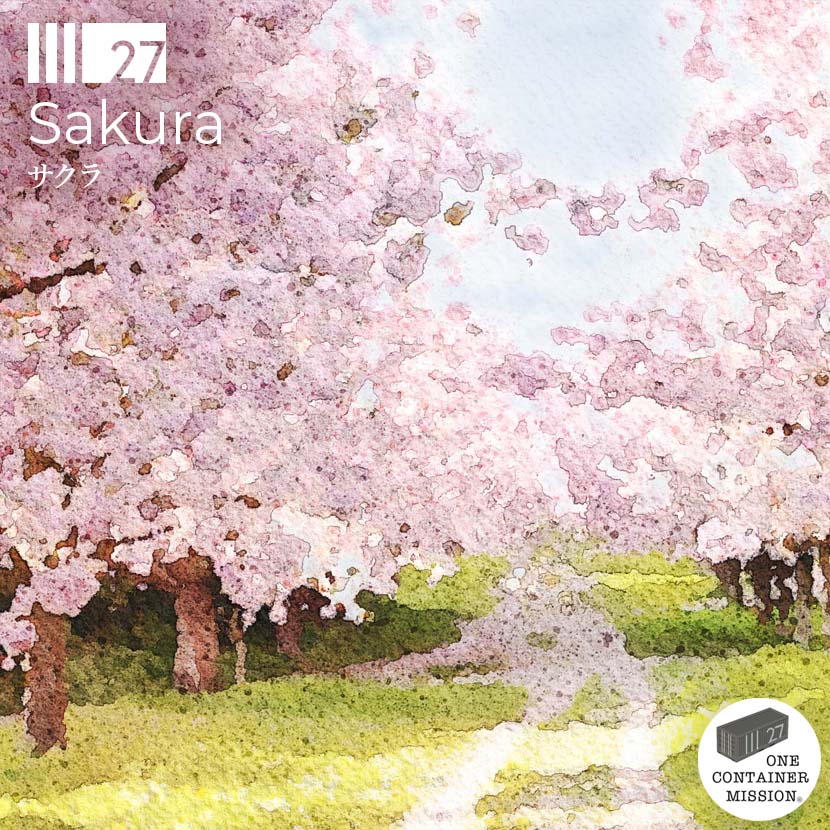 【期間限定】サクラブレンド Sakura 中深煎 ホンジュラス コーヒー豆 シーズナル ドリップ 春 珈琲