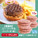 ハンバーガー パテ (生タイプ) 12枚入 パック 【冷凍】
