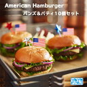 アメリカン バーガー バンズ & パテ 10個セット 送料