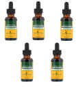 「お得な5本セット」Herb Pharm社オーガニック アンドログラフィス液体サプリメント30ml×5本