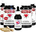 Kroeger Herb Co, ヨモギキット、5本セット サプリメント
