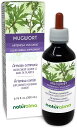 「濃縮」Naturalma社 ヨモギ ( アルテミシア 10倍 濃縮)配合 ハーブ 液体サプリメント200ml(100回分2ヶ月~3ヶ月分) よもぎ